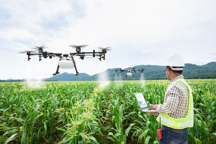 Innovation and Technology